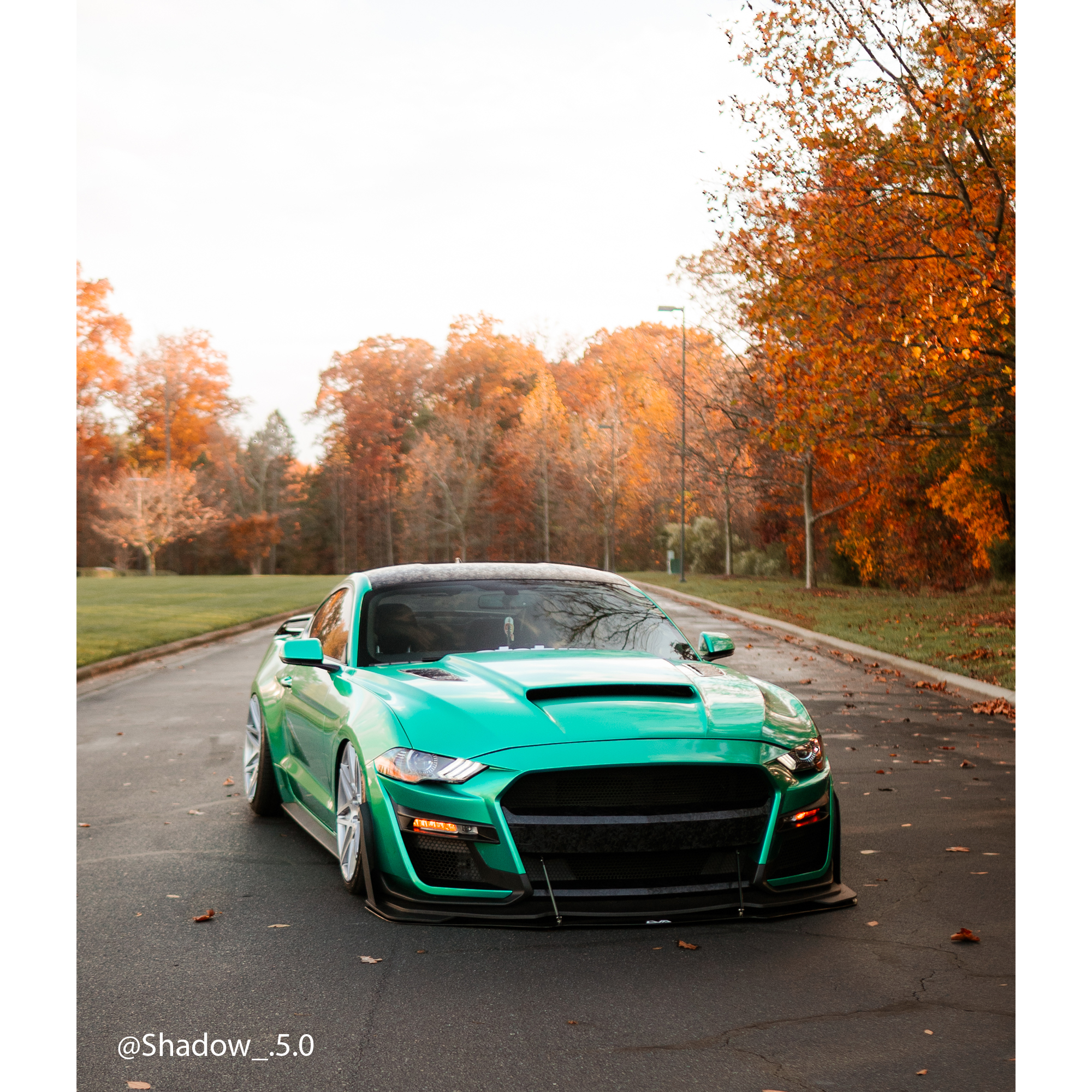 Vehicle application of Metal Paint Emerald