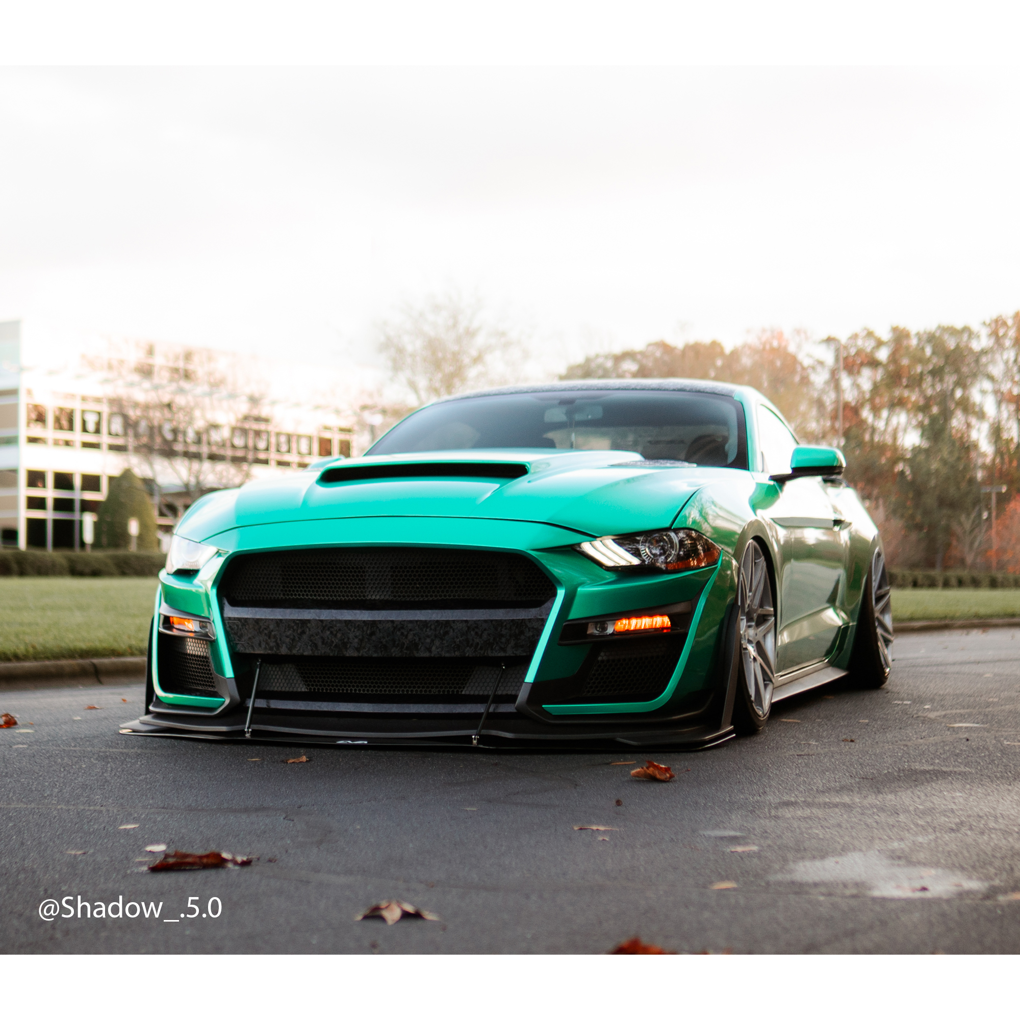 Vehicle application of Metal Paint Emerald